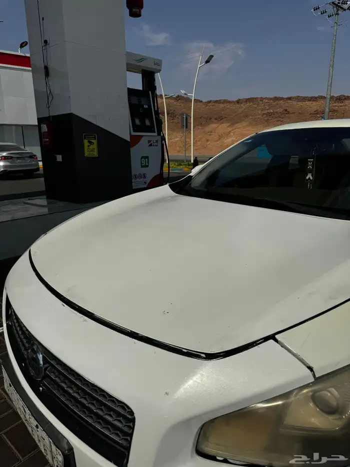 ماكسيما 2010 21