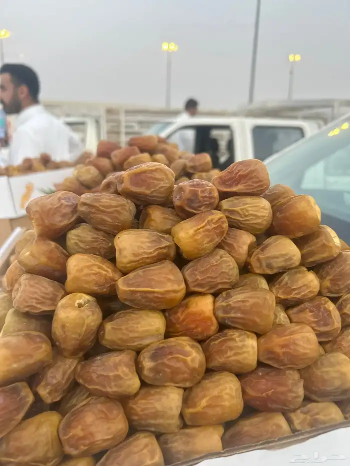 سكري نوادر ملكي مفتل و جلكسي 10