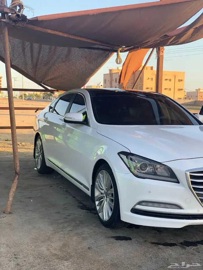 جينسس 2016 لؤلؤي 12