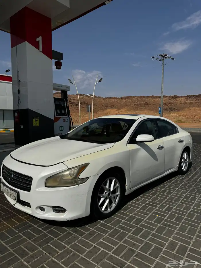 ماكسيما 2010 4