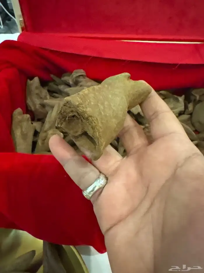 نوادر العود المروكي القديم 5