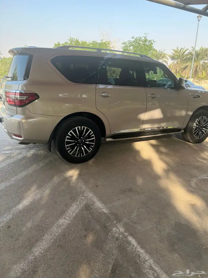 نسيان باترول بلاتينيوم 5