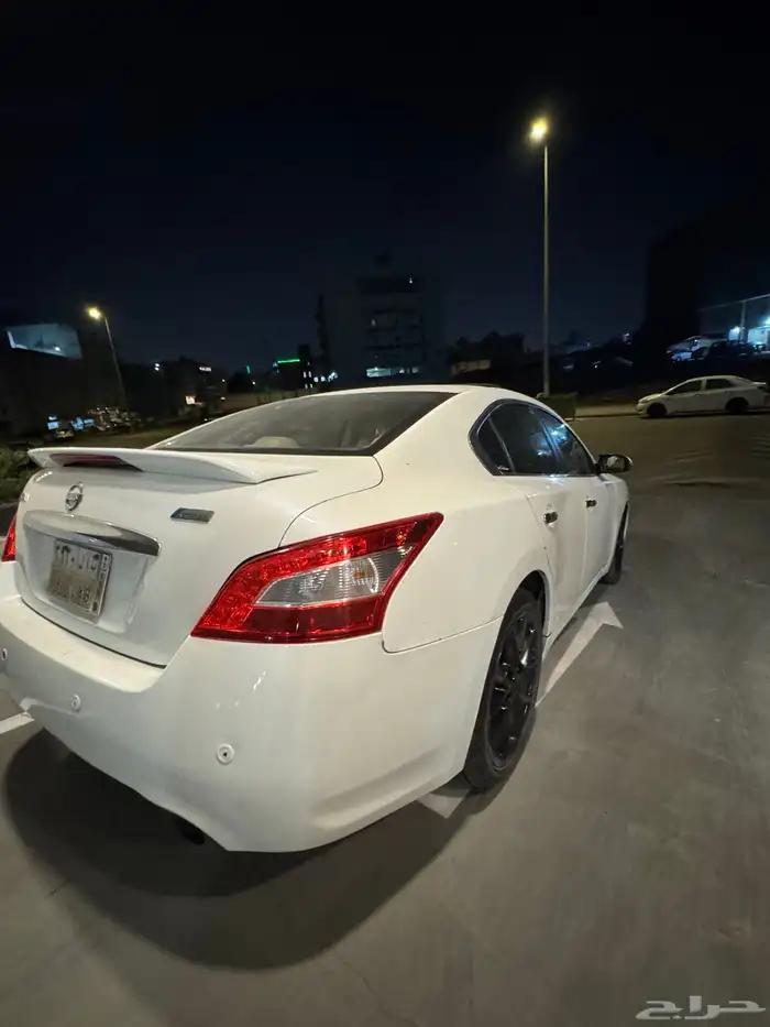 مكسيما 2010 15