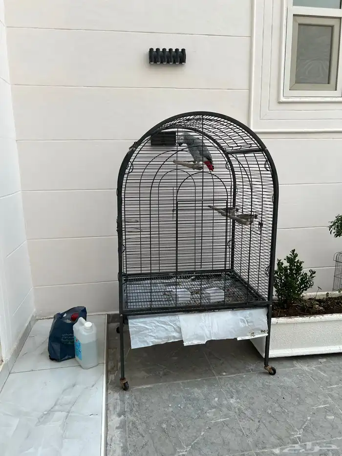 تم البيع. كاسكو 0