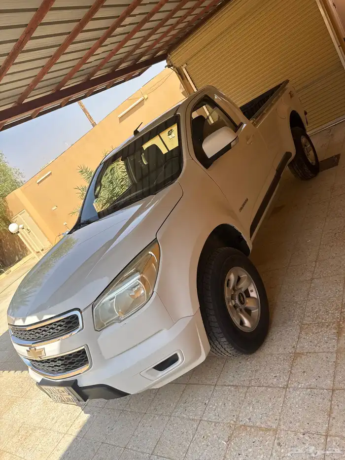 شفر كولو رادو 1