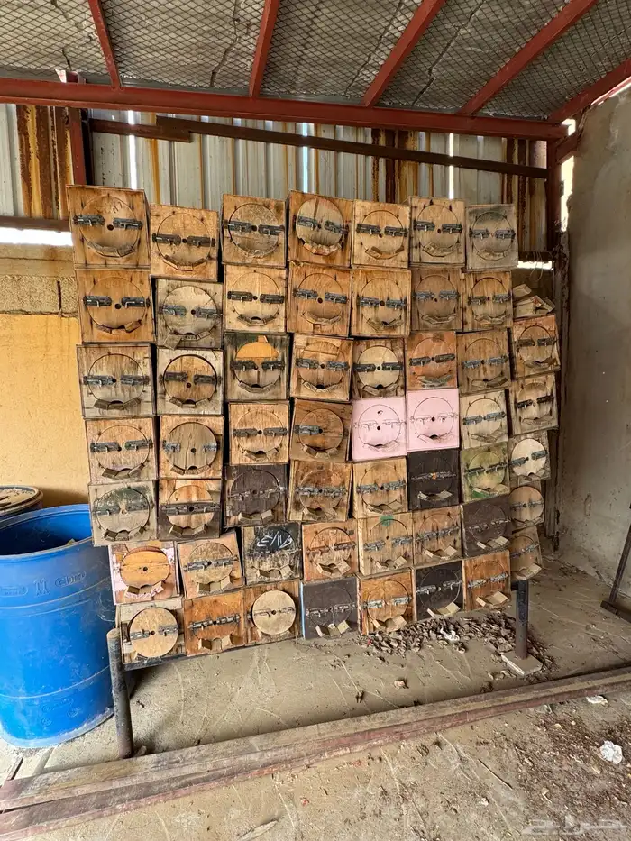 للبيع خلايا نحل فاضية 1