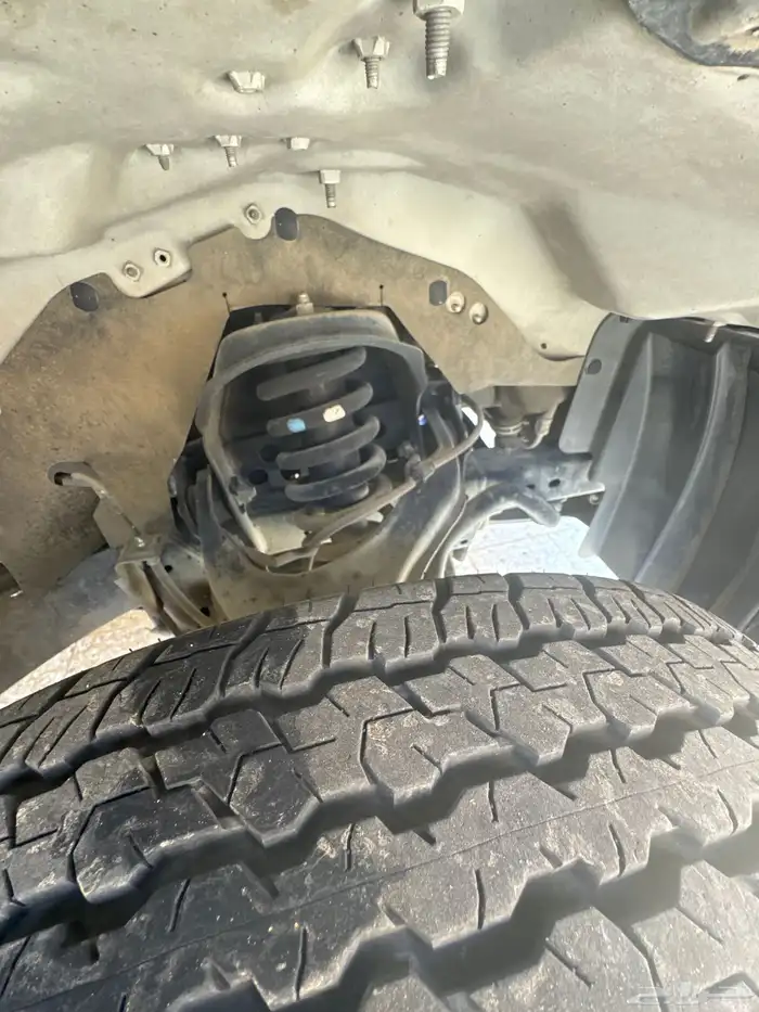 شفر كولو رادو 6