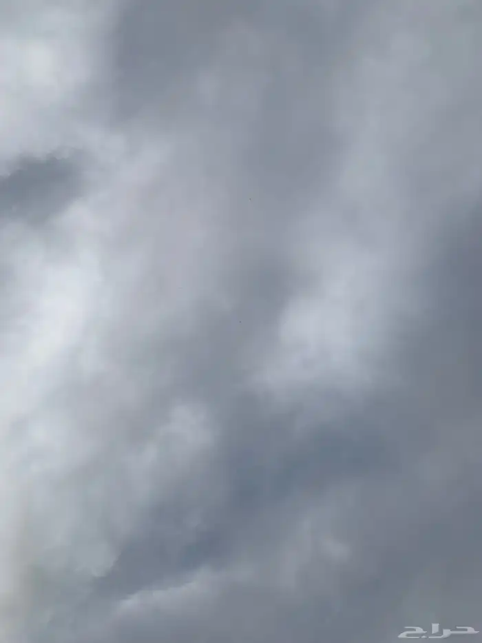 حمام بكستاني 21