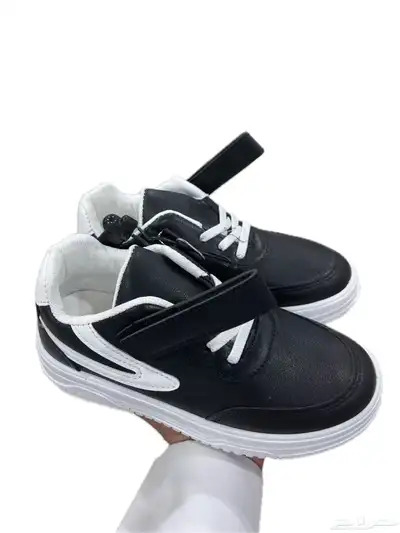 عرض الشتاء index