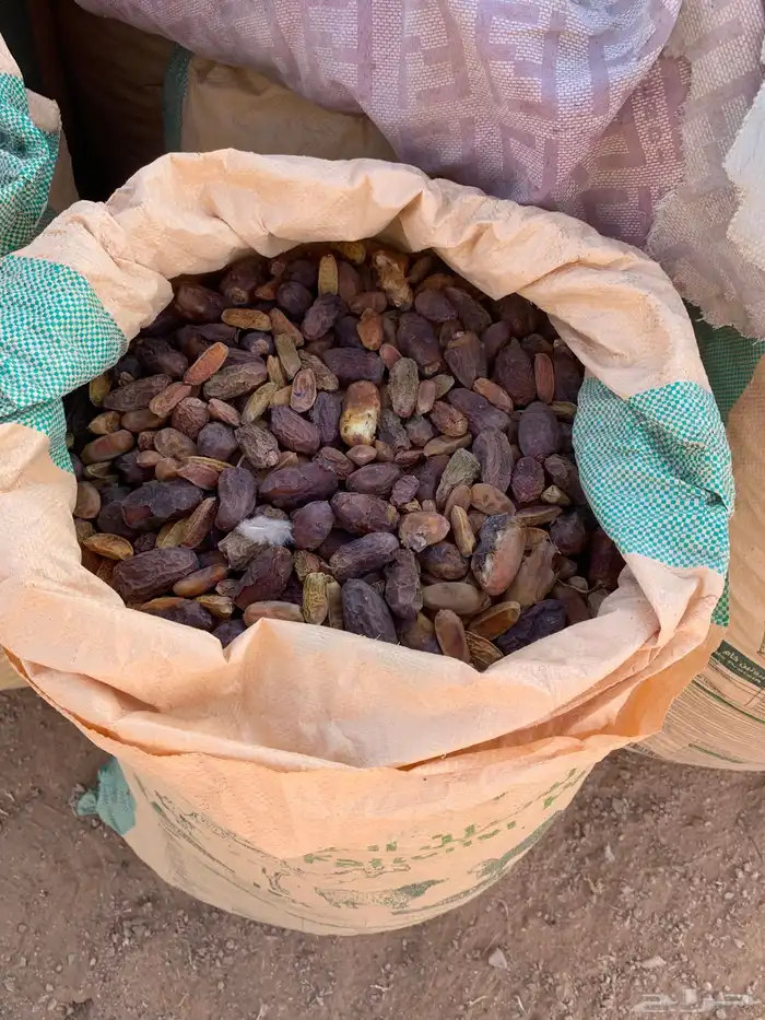 للبيع تمر علف 2