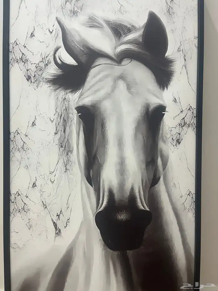 للوحه مدخل للبيع جديده 1