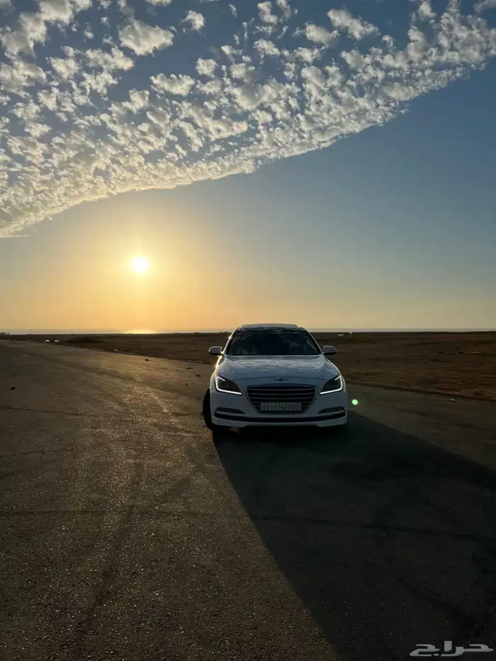 جينسس 2016 لؤلؤي 22