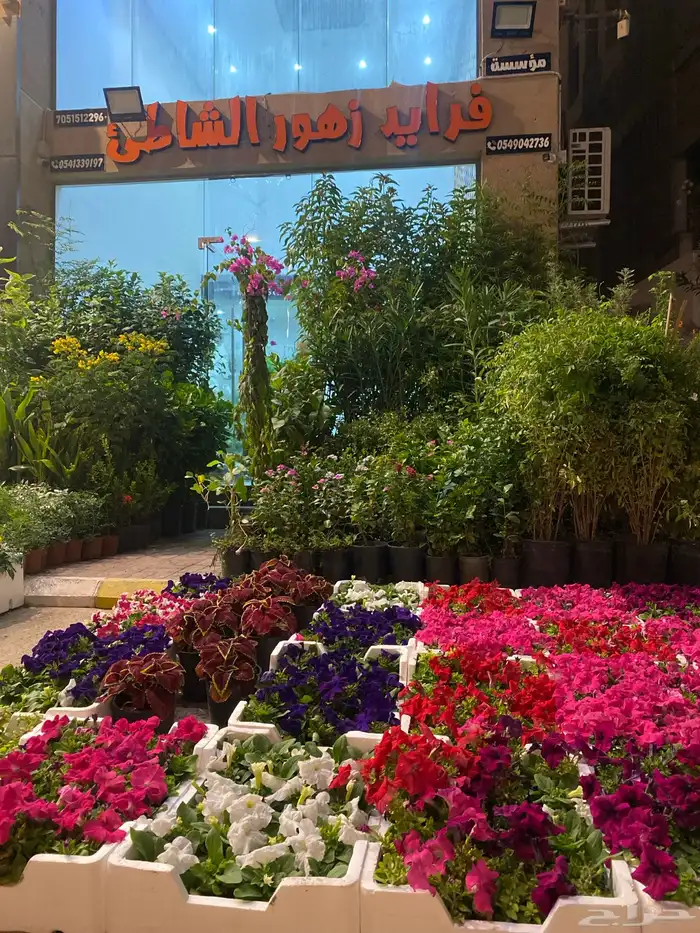 مشتل الاشجار والزهور   جميع الانواع مع التوصيل 0