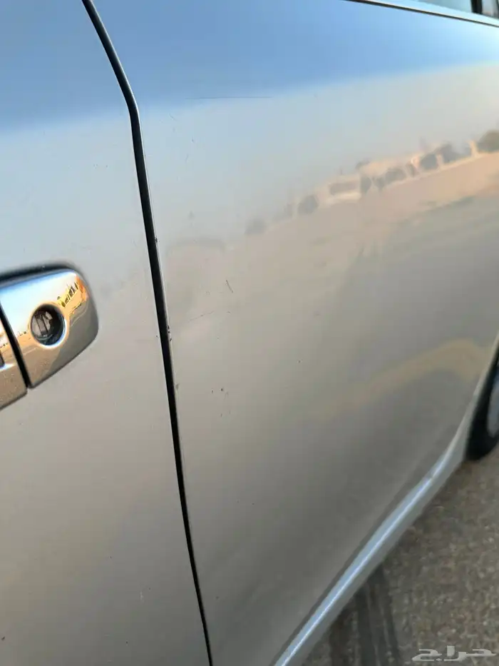 التيماء2017 7