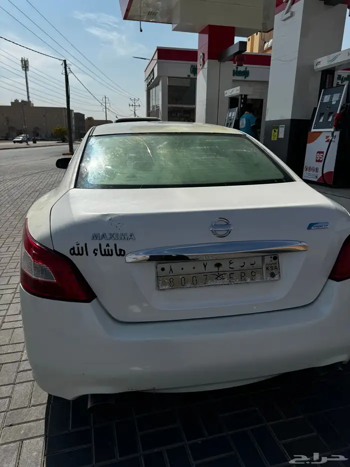 ماكسيما 2010 12