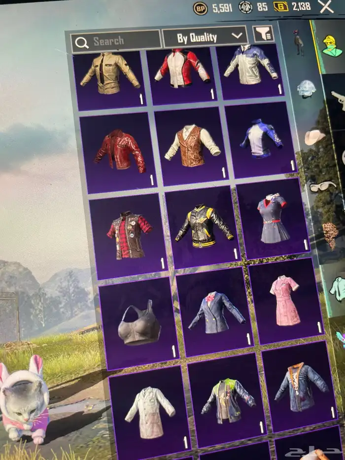 حساب ببجي لفل77 4