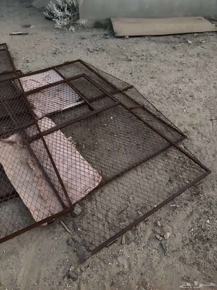 شبوك دجاج حمام ارانب 0