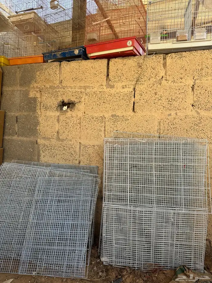 شبوك طيور 600-601 كناري 1