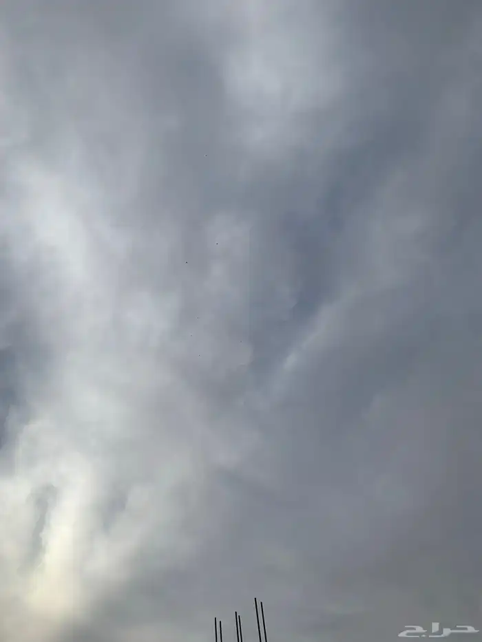 حمام بكستاني 18