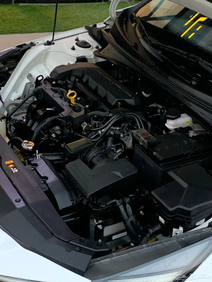 إلنترا 2021 ممشى قليل ونظيفة وكالة 22