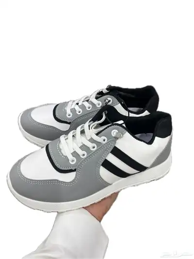 عرض الشتاء index