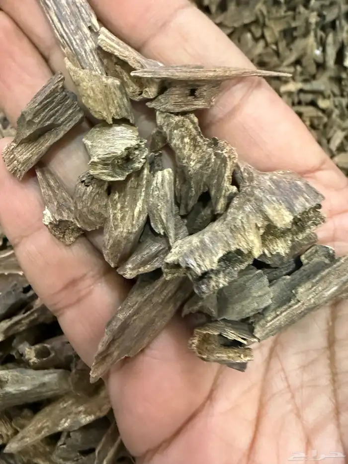 عود هندي موري 2