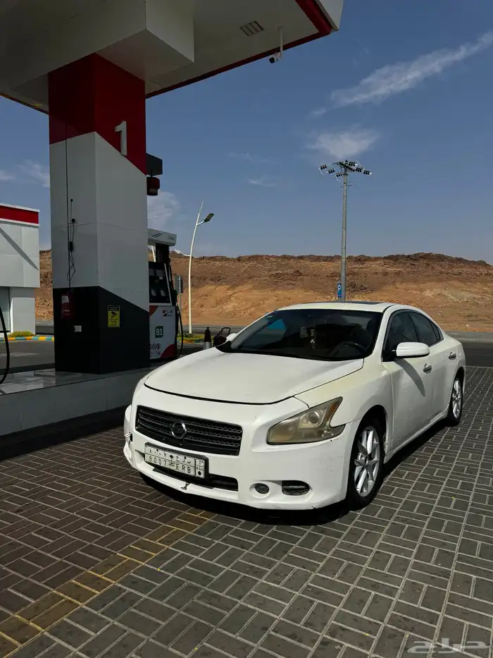 ماكسيما 2010 2