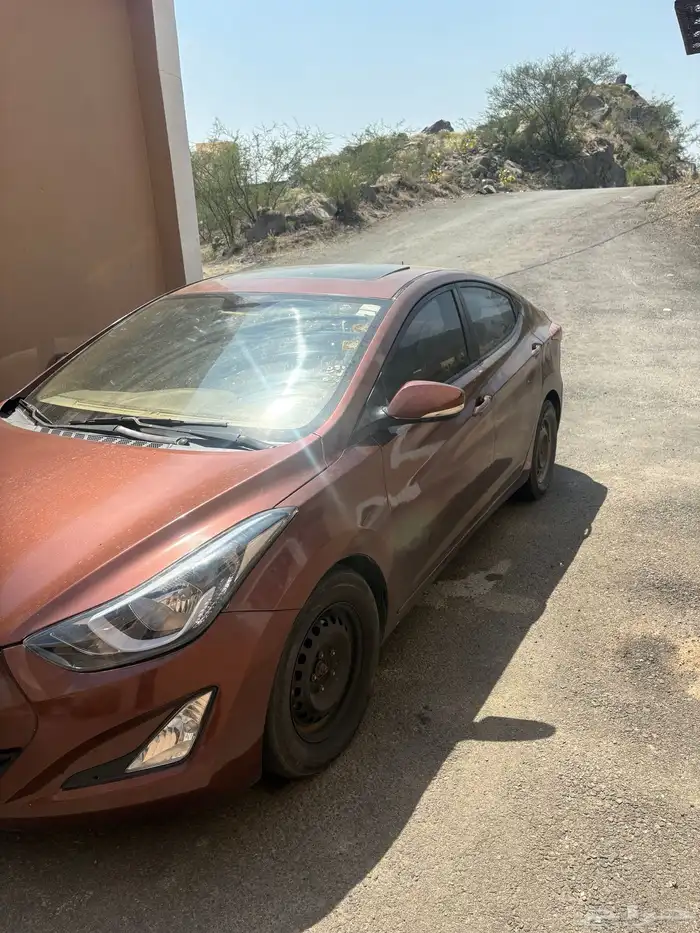 النترا 2013 18