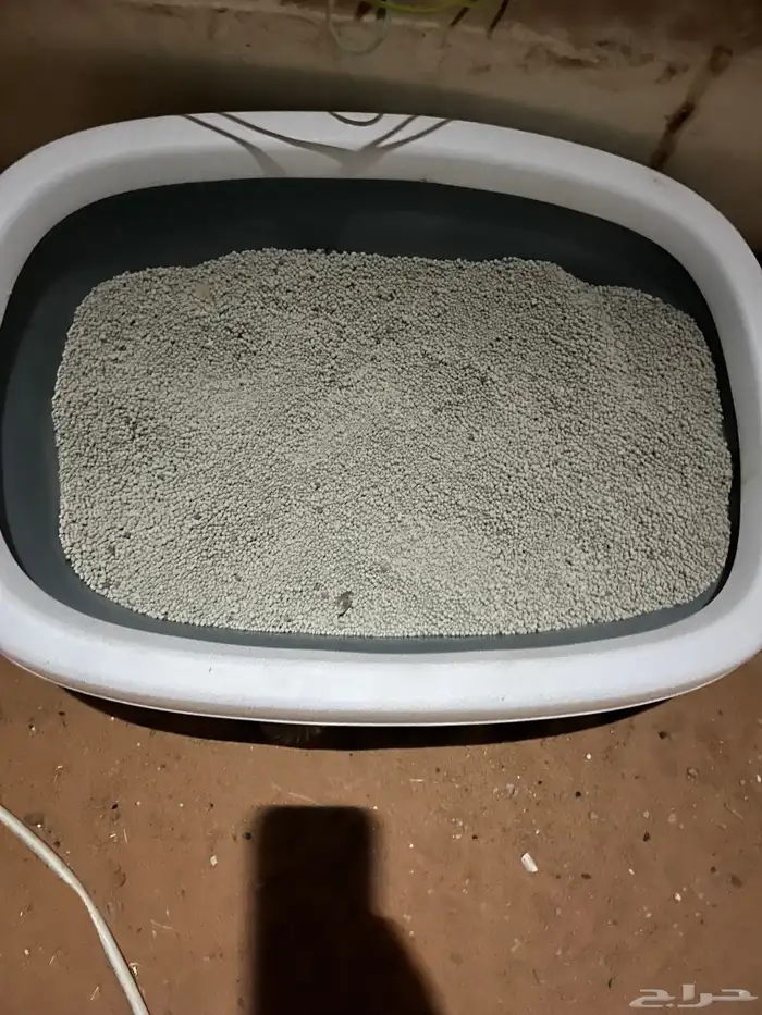 مستلزمات قطط 1