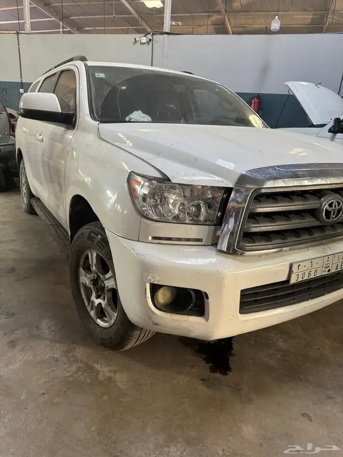 سكويا مخبط 2011 0