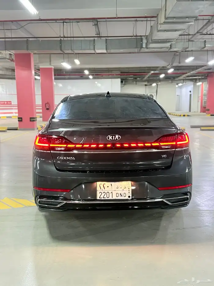 كادينزا 2021 2