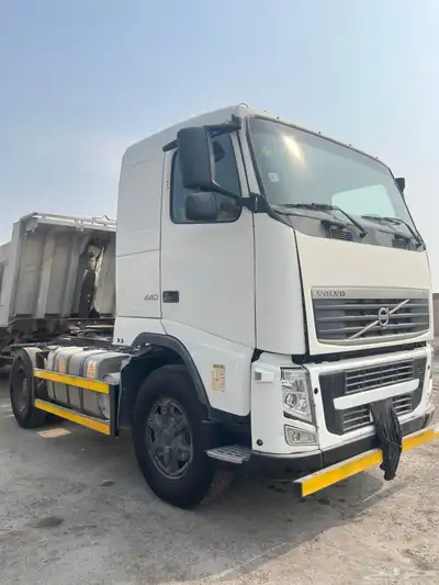 فلفو زاهد 2014 index