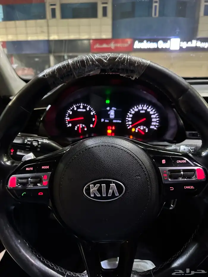 كادينزا 2017 4