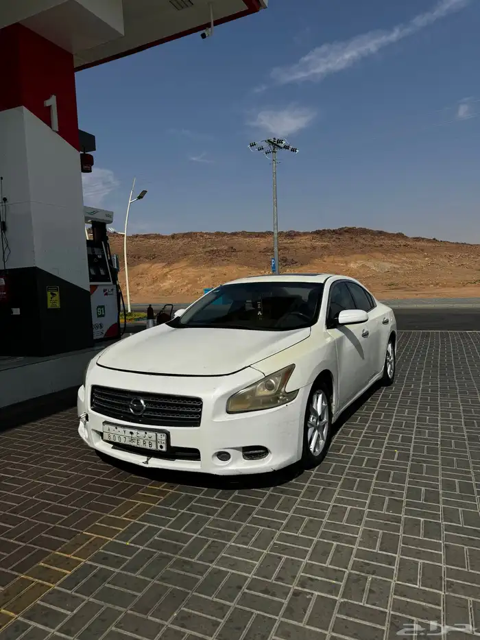 ماكسيما 2010 5