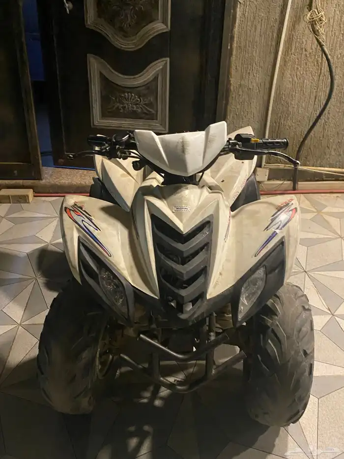 دباب للبيع مقاس 80 1