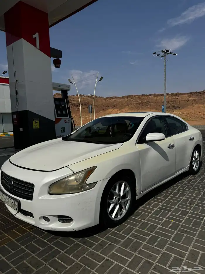 ماكسيما 2010 0