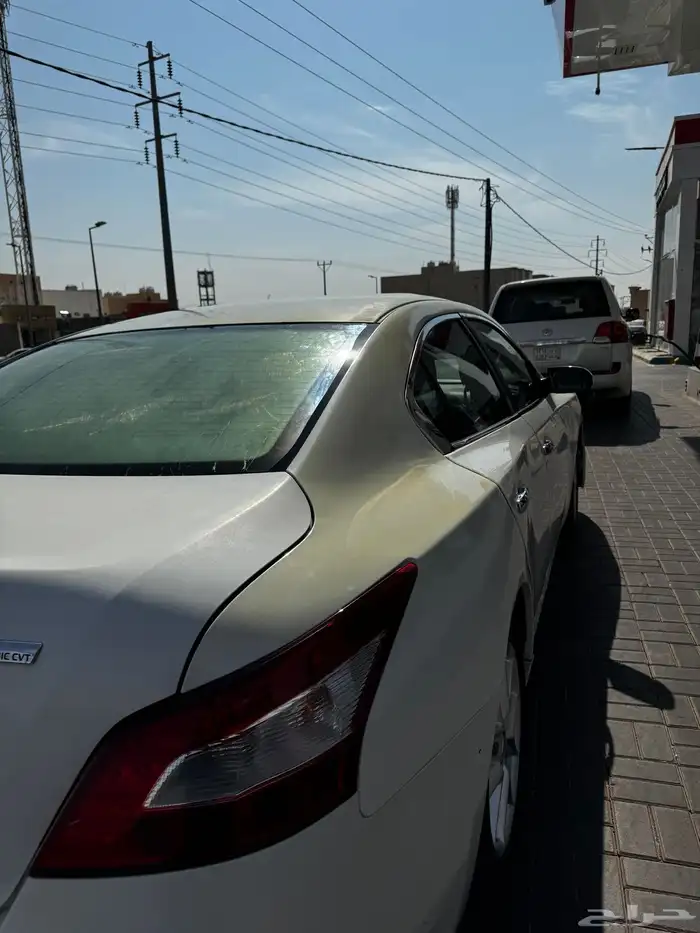 ماكسيما 2010 16