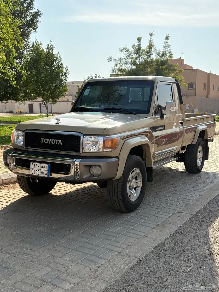 شاص رفرف 2015 1