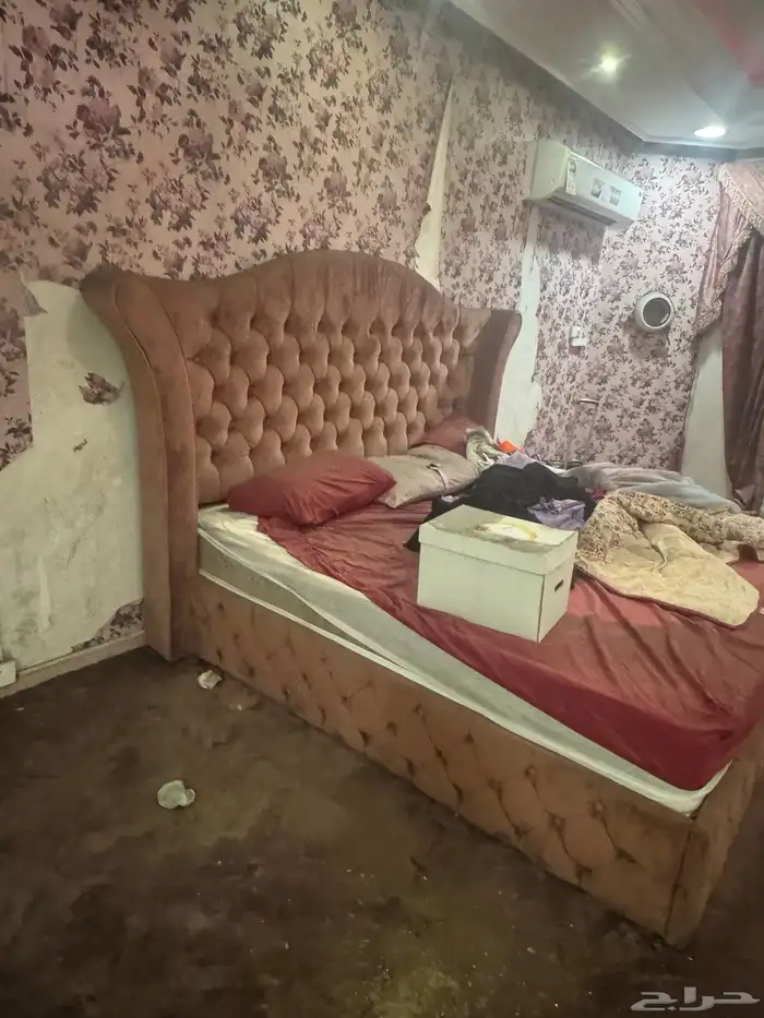 ينبع البحر 0