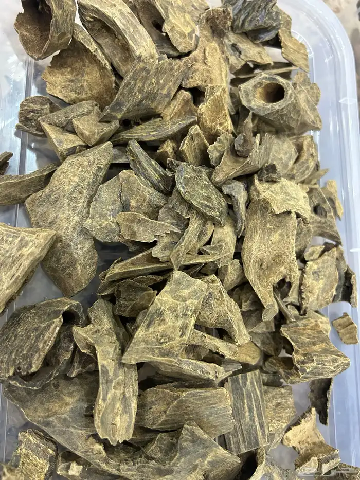 تصفية بضاعة محل عود كامله 5