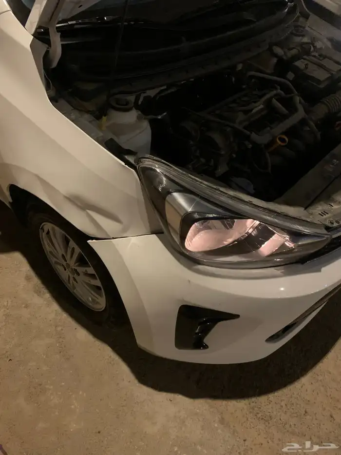 بيجاس 2024 مصدوم خفيفه 11