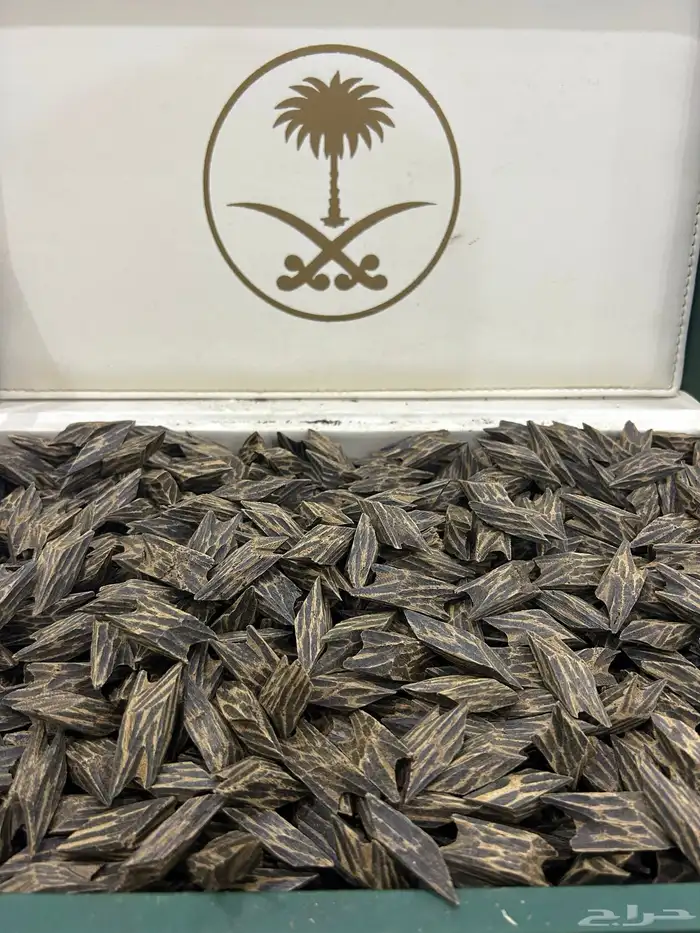 تصفية بضاعة محل عود كامله 10