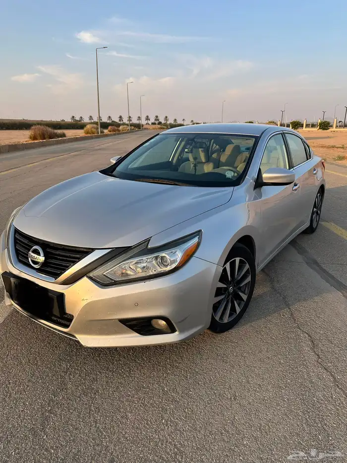 التيماء2017 6