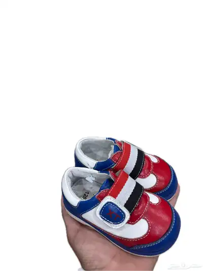 عرض الشتاء index