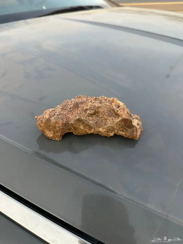 حجر غريب في القوقل طلع نيزك اللي يعرف يتواصل معي 4