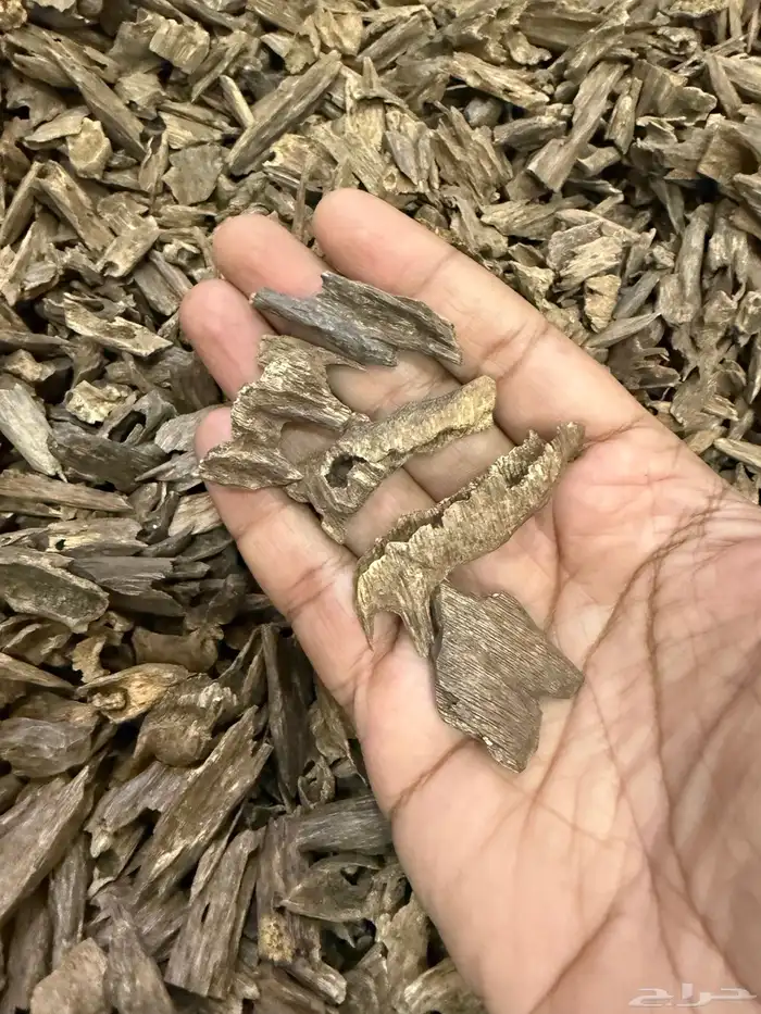 عود هندي موري 1