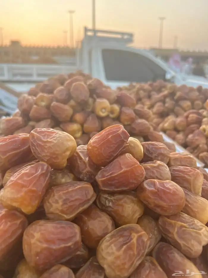 سكري نوادر ملكي مفتل و جلكسي 11