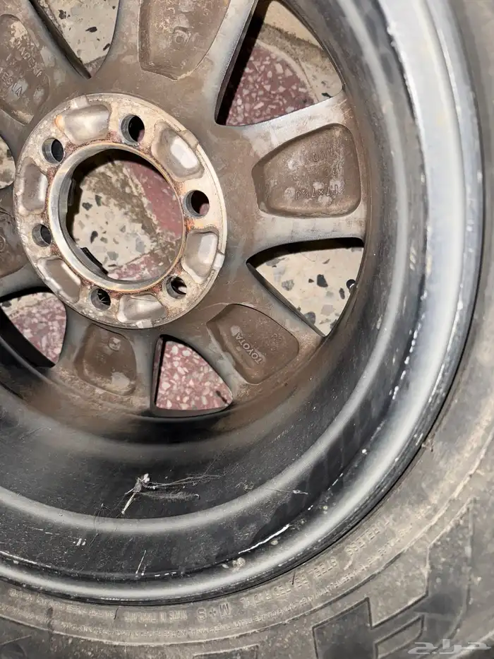 جنط فورشنر 2023 1