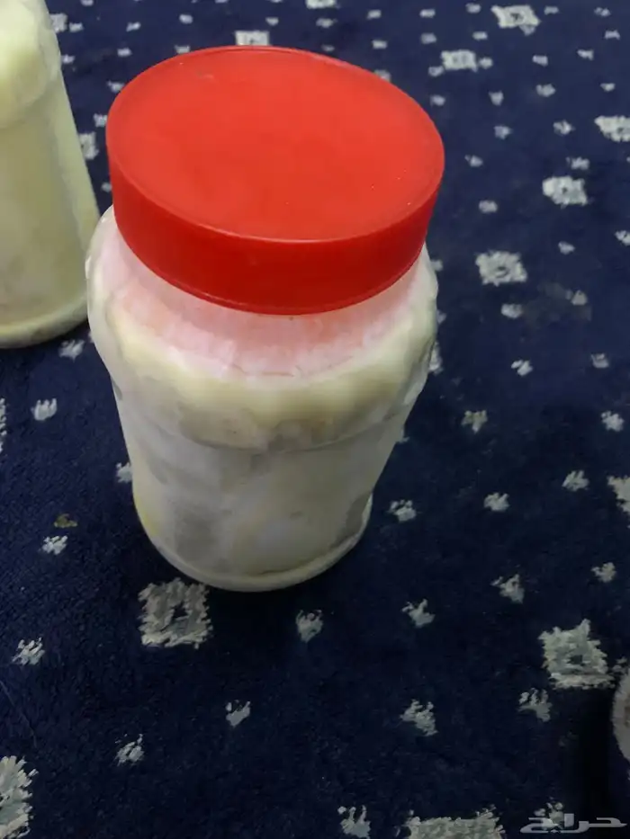 سمن غنم طازج صنع ايادي 1