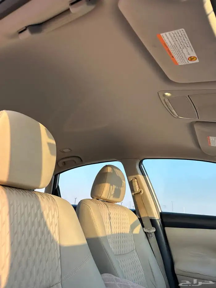 التيماء2017 9